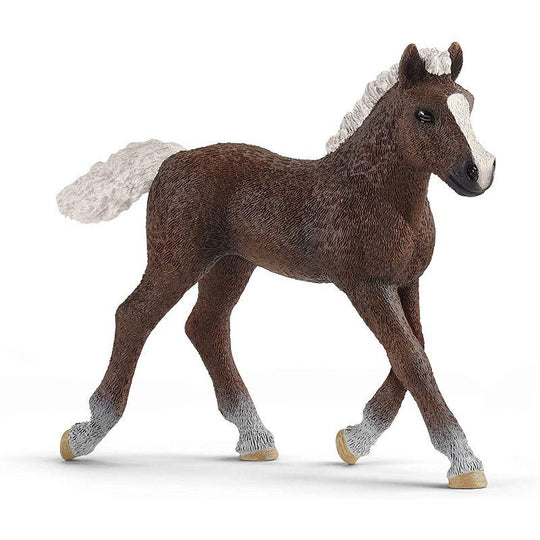 Schleich Farm World Figure - Black Forest Foal
