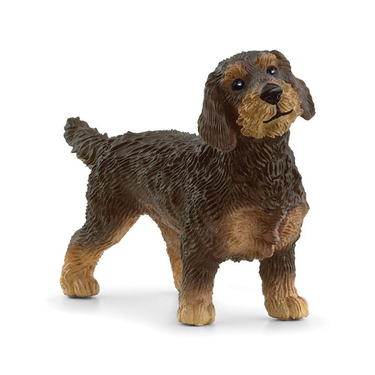 Schleich Farm World Figure - Wire-Haired Dachshund