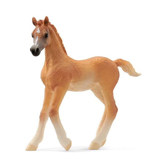 Schleich Horse Club Figure - Arabian Foal