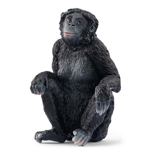 Schleich Wild Life Figure - Bonobo Female