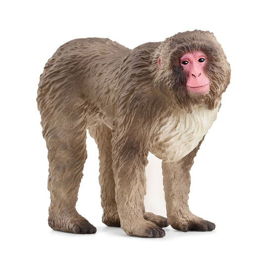 Schleich Wild Life Figure - Japanese Macaque