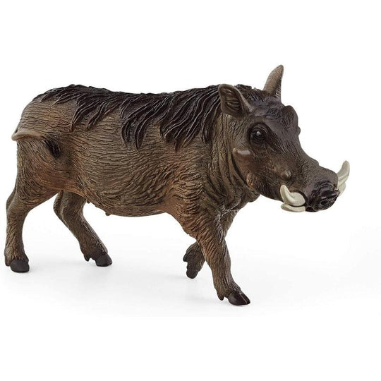 Schleich Wild Life Figure - Warthog