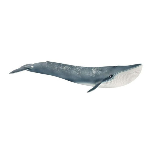 Schleich Wildlife - BLUE WHALE
