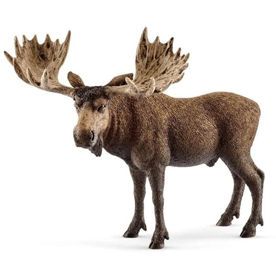 Schleich Wildlife - MOOSE BULL