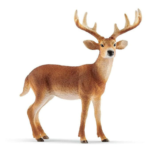 Schleich Wildlife - WHITE-TAILED BUCK