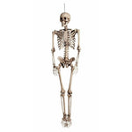 160cm Giant Skeleton Plastic Human Bones Full Replica Halloween Party Decoration