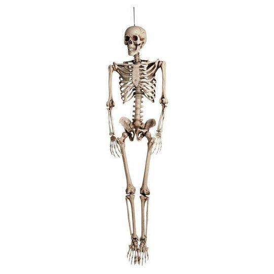 160cm Giant Skeleton Plastic Human Bones Full Replica Halloween Party Decoration