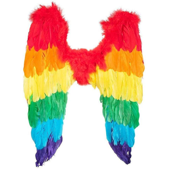 Adult Women's Small Angel Feather Wings Fancy Dress Accessory - Rainbow Colours