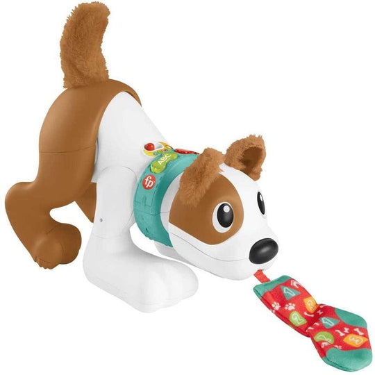 Fisher Price 123 Crawl with Me Puppy Electronic Educational Toy
