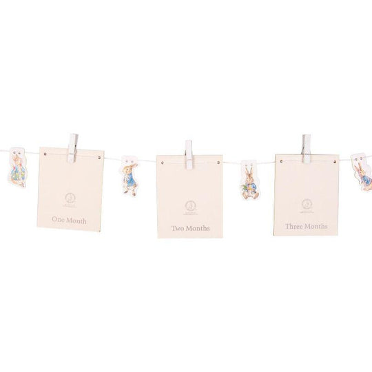 Fizz Creations Peter Rabbit Photo Banner