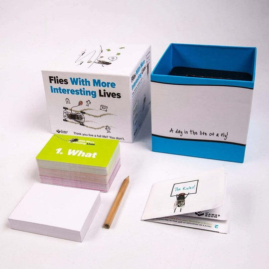 Flies With More Interesting Lives Fun Sketch Card Game