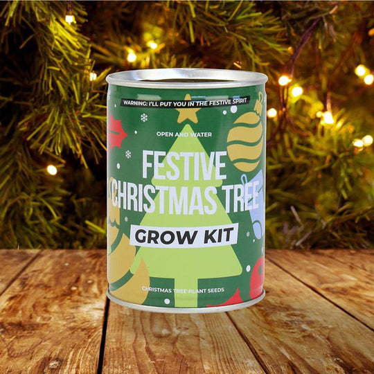 Gift Republic Festive Christmas Tree Grow Kit