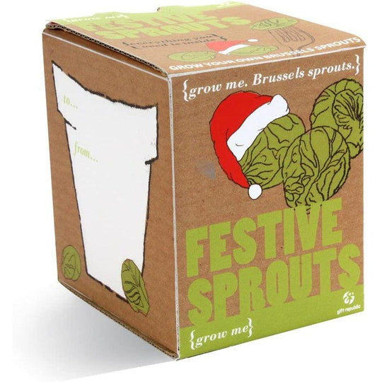 Gift Republic Grow Me Festive Sprouts