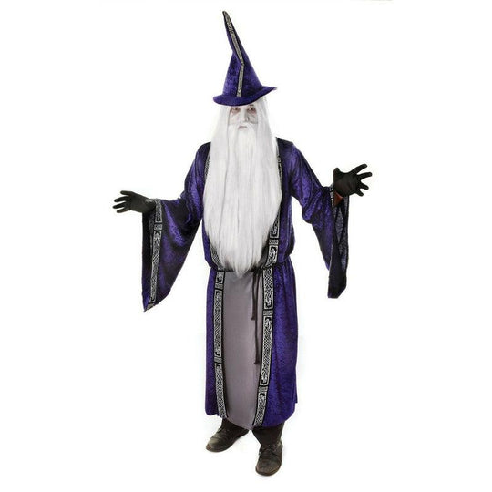 Mens Purple Wizard Costume Gandalf Dumbledore Halloween Fancy Dress Adult Outfit