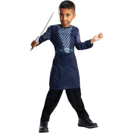 Rubies The Hobbit Thorin Oakenshield Boy's Fancy Dress Costume & Sword