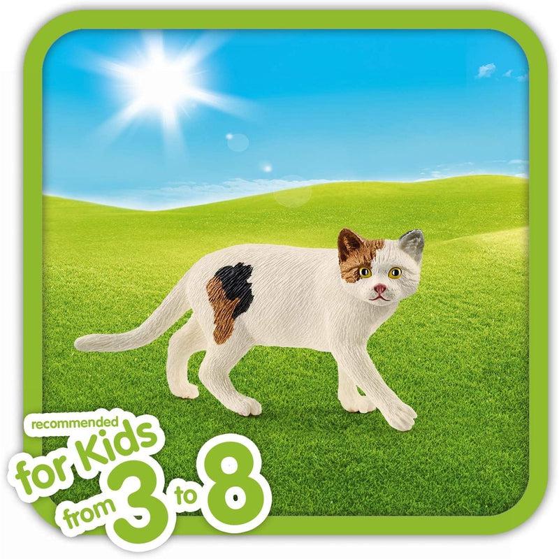 American Shorthair : Guide complet du chat américain American Shorthair : Guide complet du chat américain