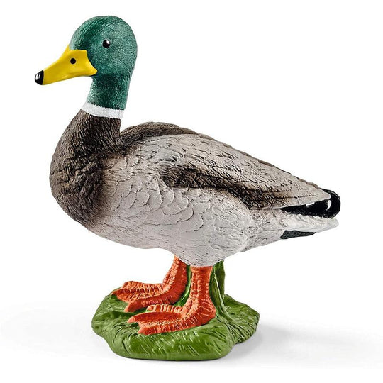 Schleich Drake