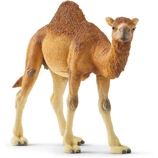 Schleich Dromedary Wild Life