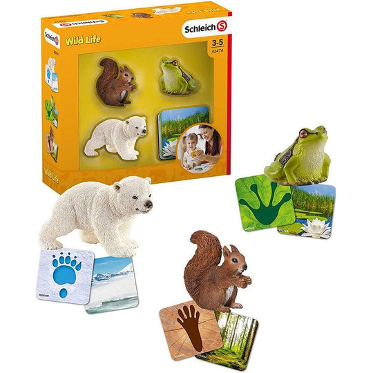 Schleich Wildlife Educational Playset & Flashcards