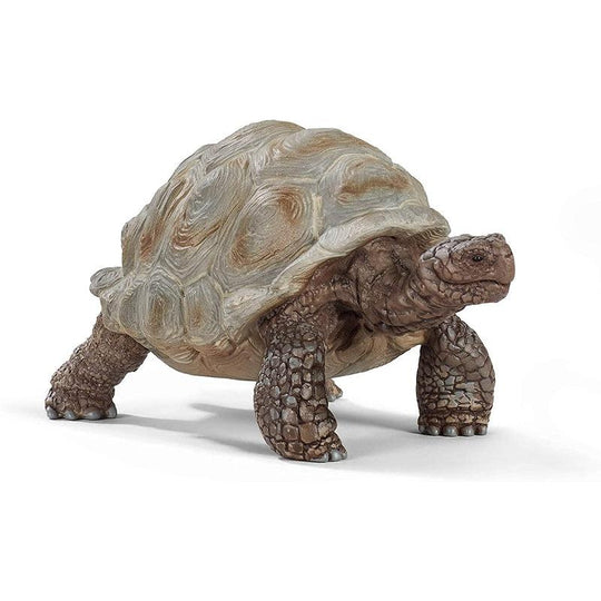 Schleich Wildlife Giant Tortoise Toy Figure