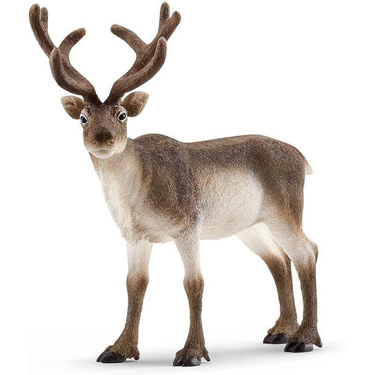 Schleich Wildlife Reindeer Toy Figure