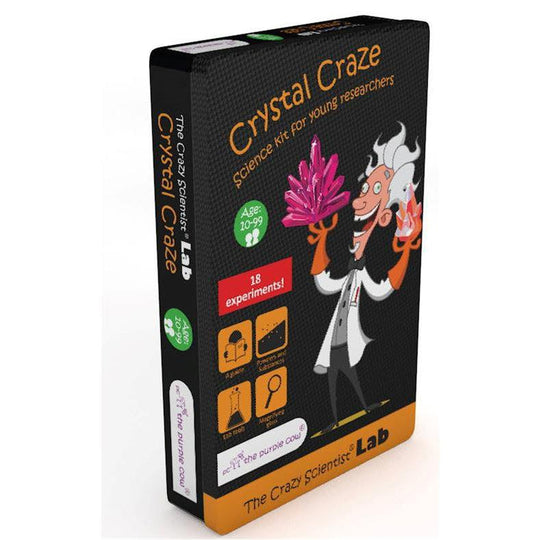 The Crazy Scientist Lab Crystal Craze Science Kit Educational Activity