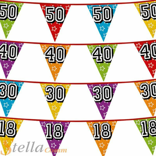 Triangular Holographic Birthday Age Bunting 8m Pennant Party Celebration
