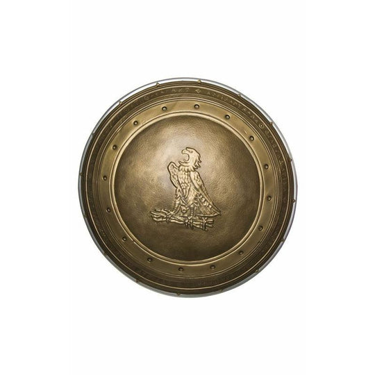 Wonder Woman Shield DC Comics Superhero Fancy Dress Costume Accessory